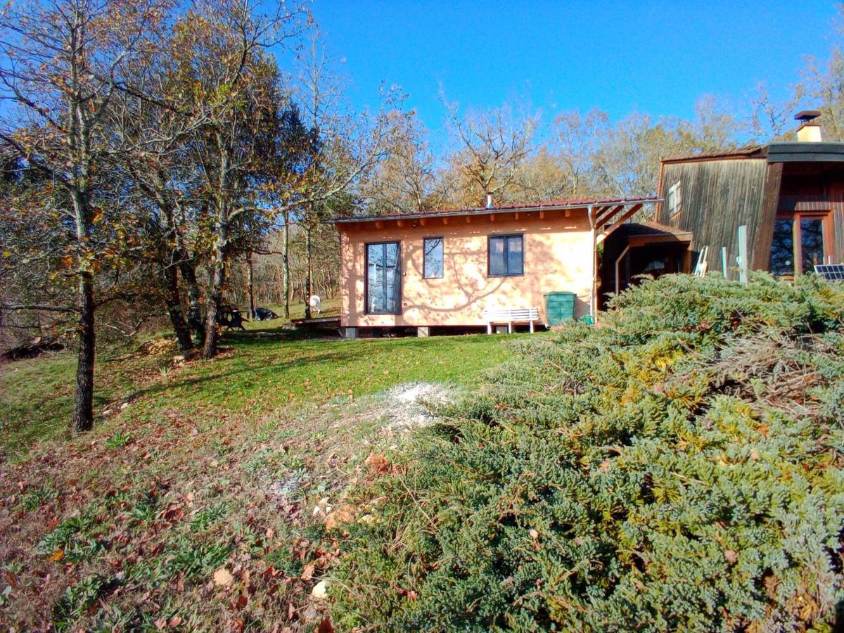 Maison Dans Un Ecrin De Verdure Saint-Leon-sur-Vezere Exterior photo